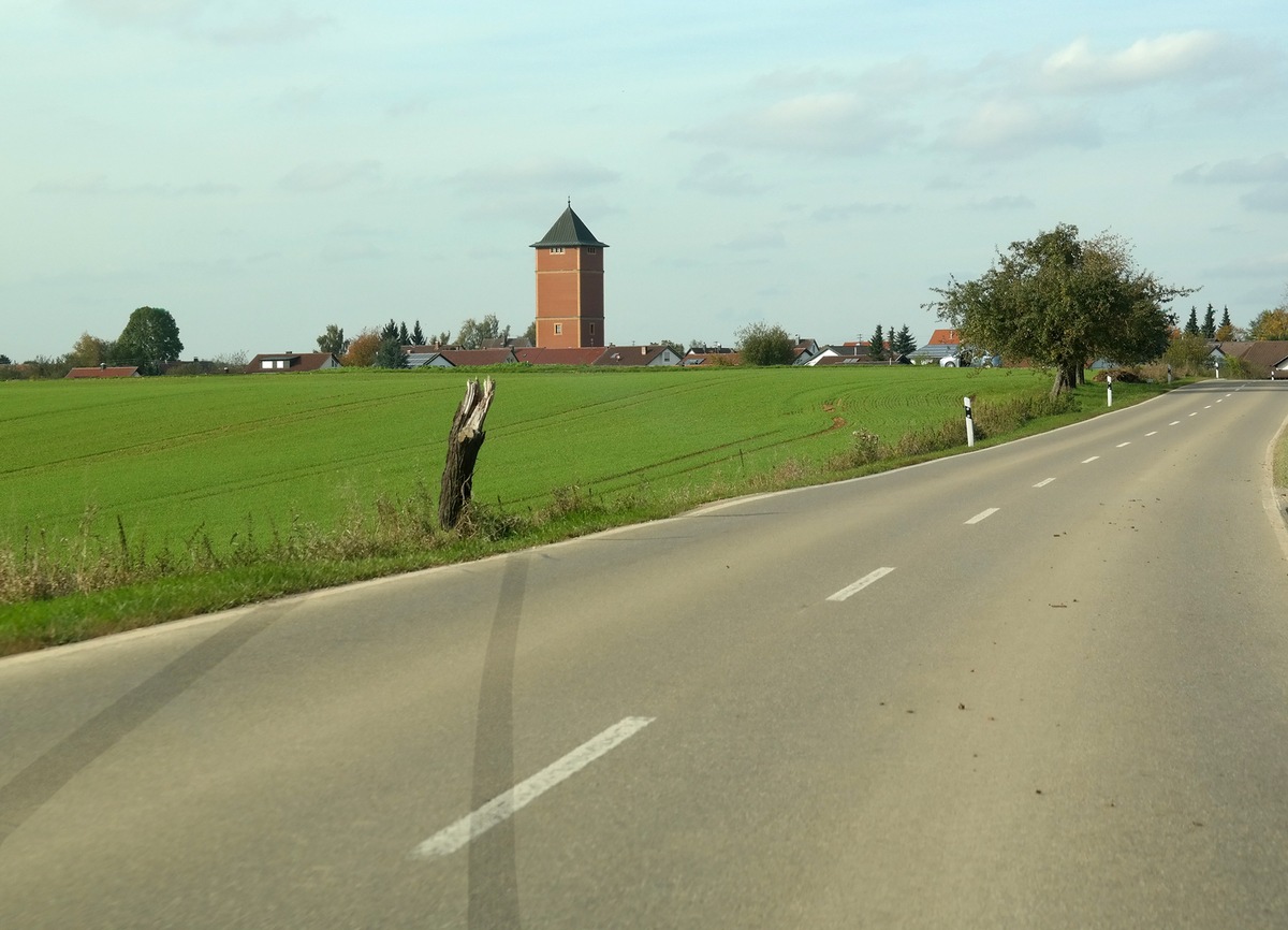 Mein Freund der Baum? / Jeder vierte auf Landstraßen tödlich Verunglückte kommt bei einem Baumunfall ums Leben