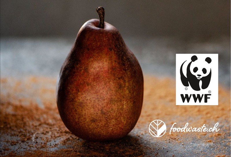 WWF und foodwaste.ch: Empfehlungen zur Reduktion von Food Waste in den Sektoren Verarbeitung und Handel