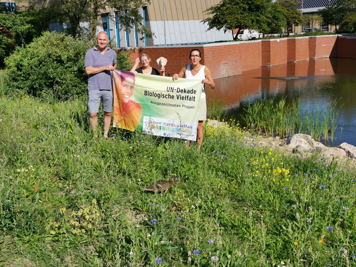 Zum Schutz der Wildpflanzen - Projekt am Botanischen Garten der Universität Osnabrück erhält erneute UN-Dekade-Auszeichnung