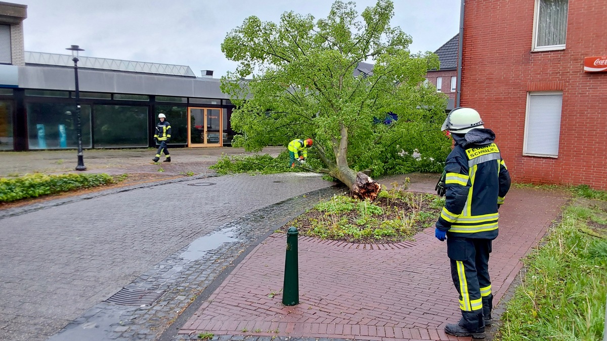 FFW Schwalmtal: Umgestürzter Baum auf Fahrbahn