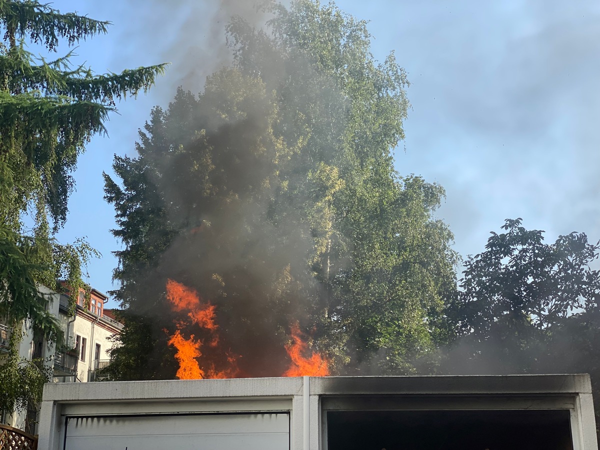 FW Dresden: Brand eines Schuppens