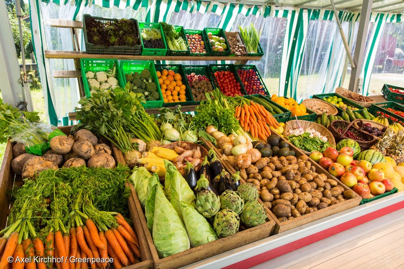 VdK, vzbv und Greenpeace fordern: Weniger Mehrwertsteuer auf Obst und Gemüse für Klimaschutz und Gesundheit