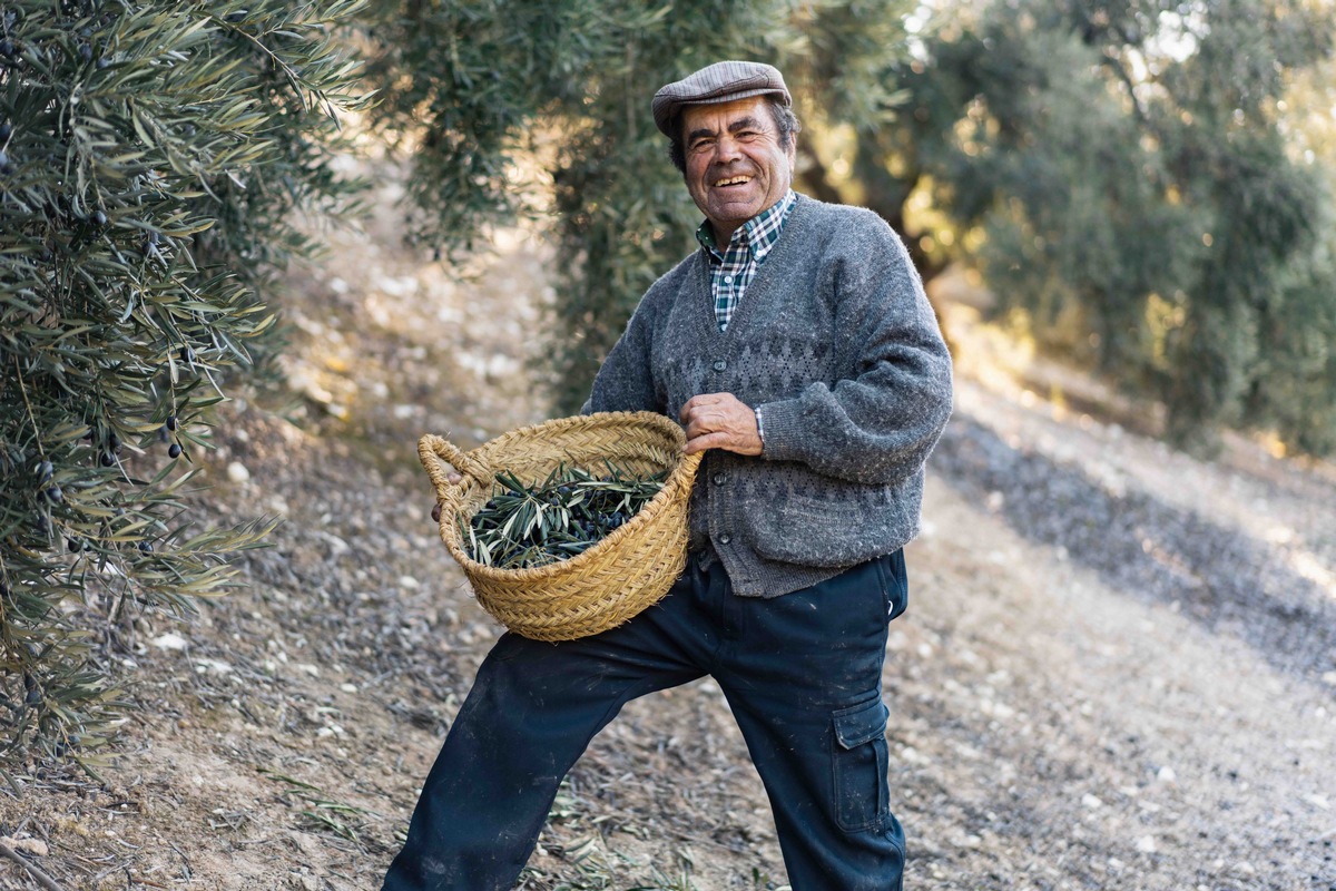 Lidl Suisse vend de l&#039;huile d&#039;olive &quot; Olivar Tradicional &quot; d&#039;Espagne / Garantie de prix minimum pour les producteurs d&#039;huile d&#039;olive traditionnelle