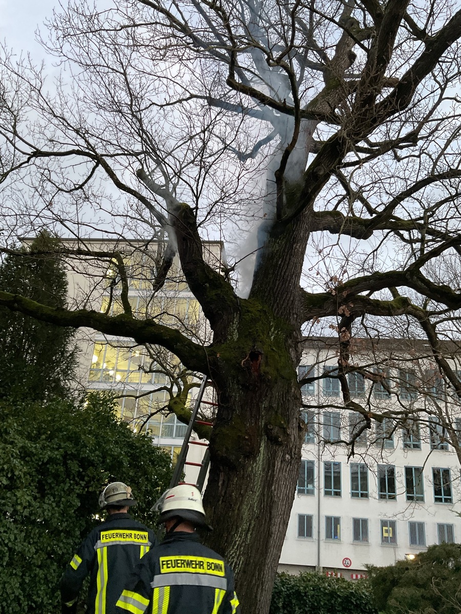 FW-BN: Brennender Baum beschäftigt die Feuerwehr am Samstagnachmittag