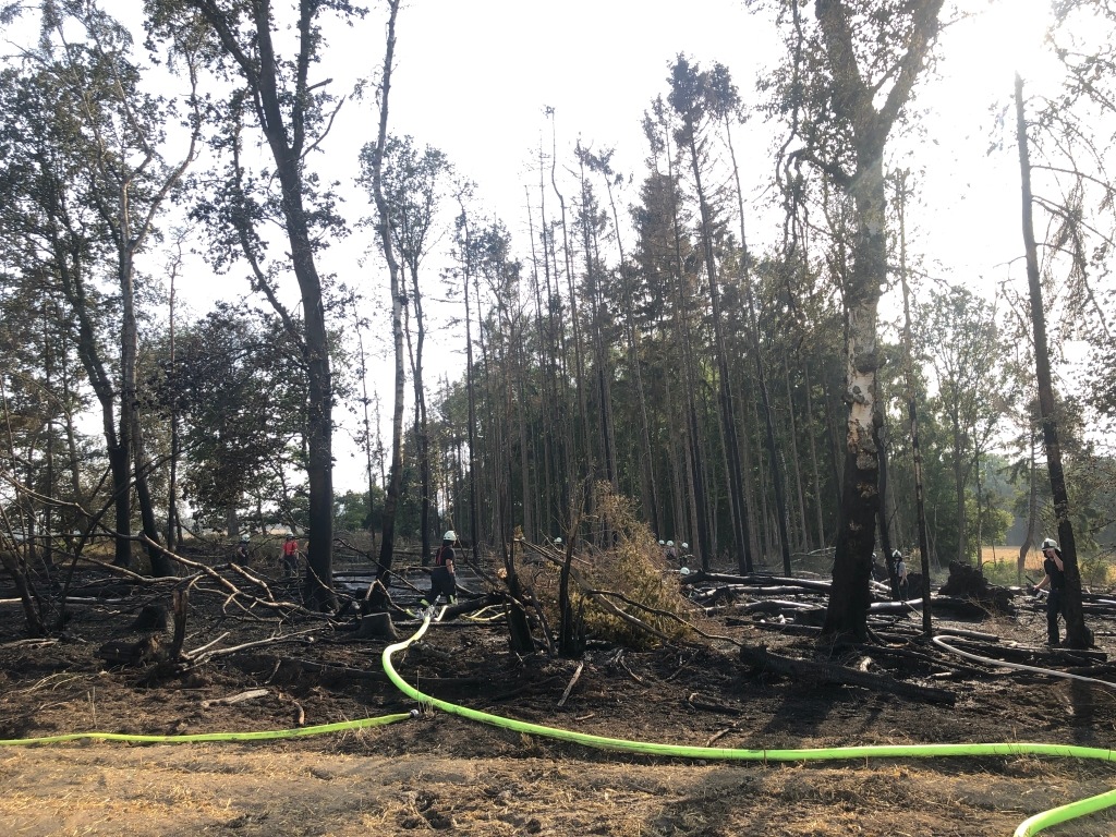 FW-MK: Viel Arbeit für die Feuerwehr Iserlohn