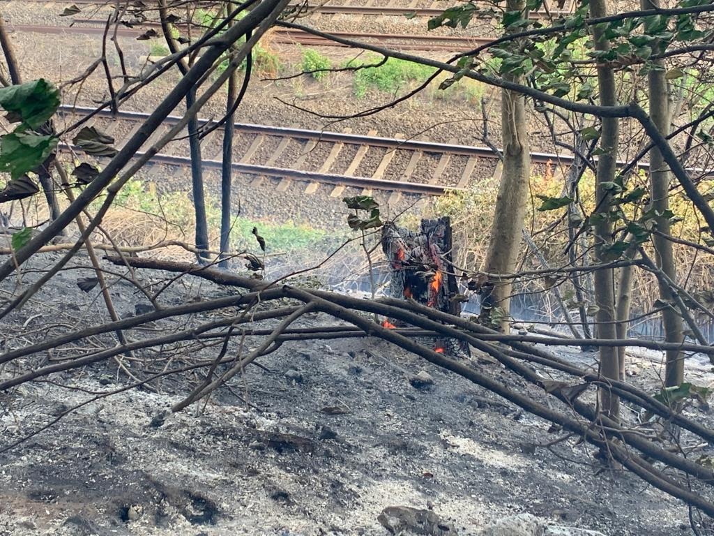 FW-E: Flächenbrand auf Bahndamm, circa 5000 m² Buschwerk in Flammen, Bahnverkehr über Stunden gestört