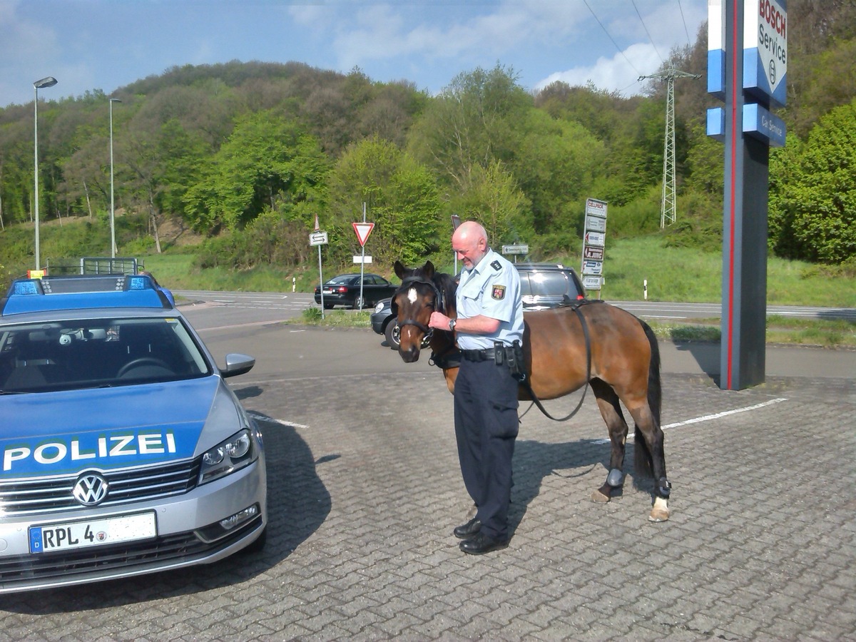 POL-PDKL: Tierisch verkehrssicher