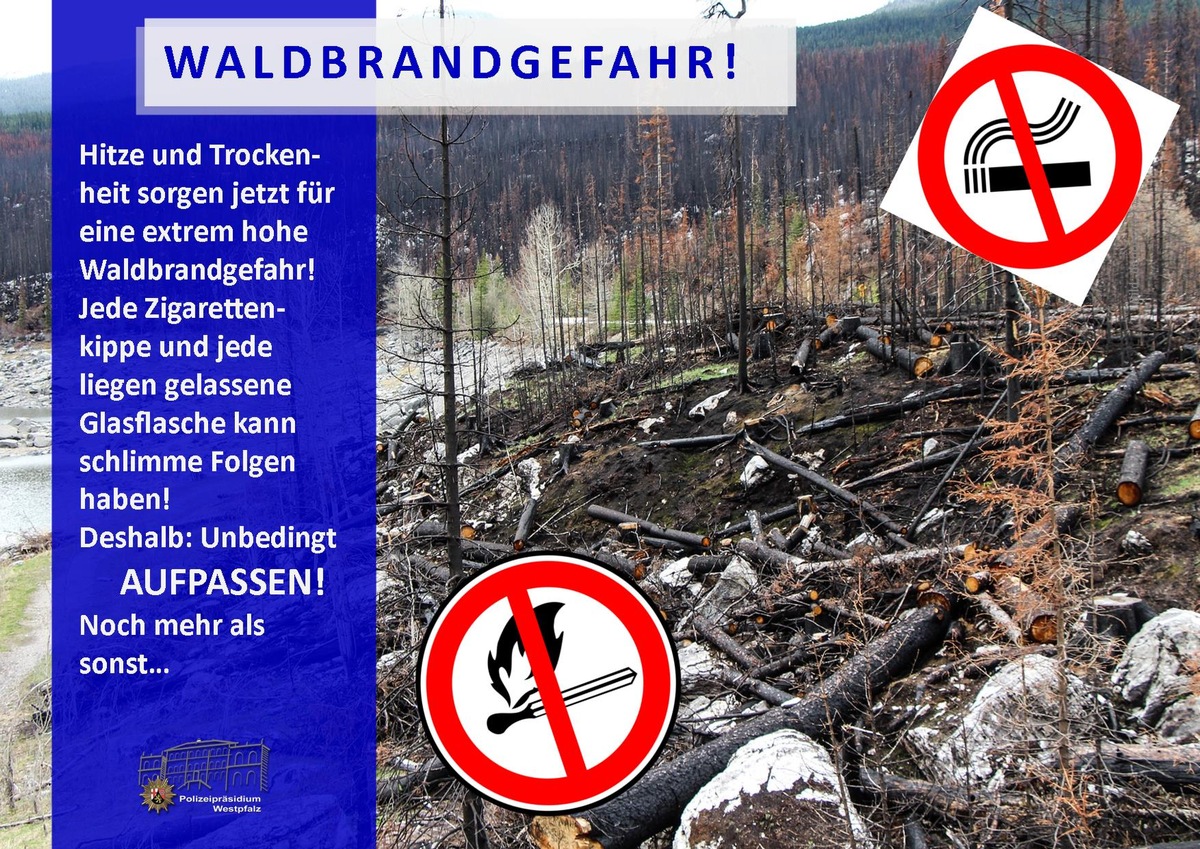 POL-PPWP: Waldbrände gelöscht