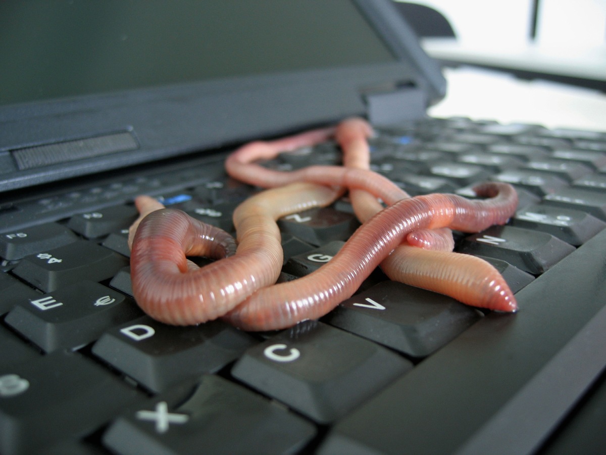 Цифровой червь. Вирусный червь. Компьютерные черви. Компьютерный вирус червь. Сетевой червь.