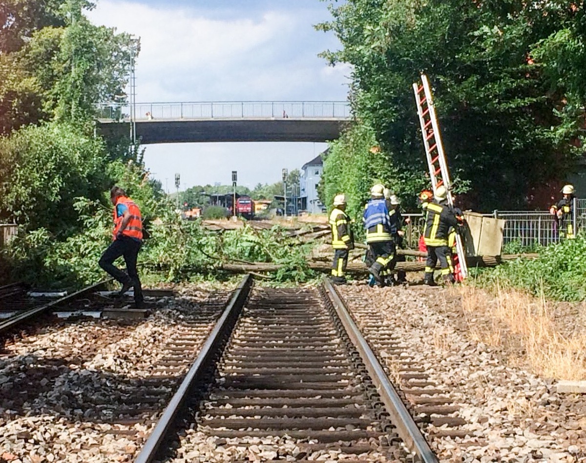 BPOLI-KN: Zug kollidiert mit Baum nahe Bahnhof Ravensburg/ Abschlussmeldung