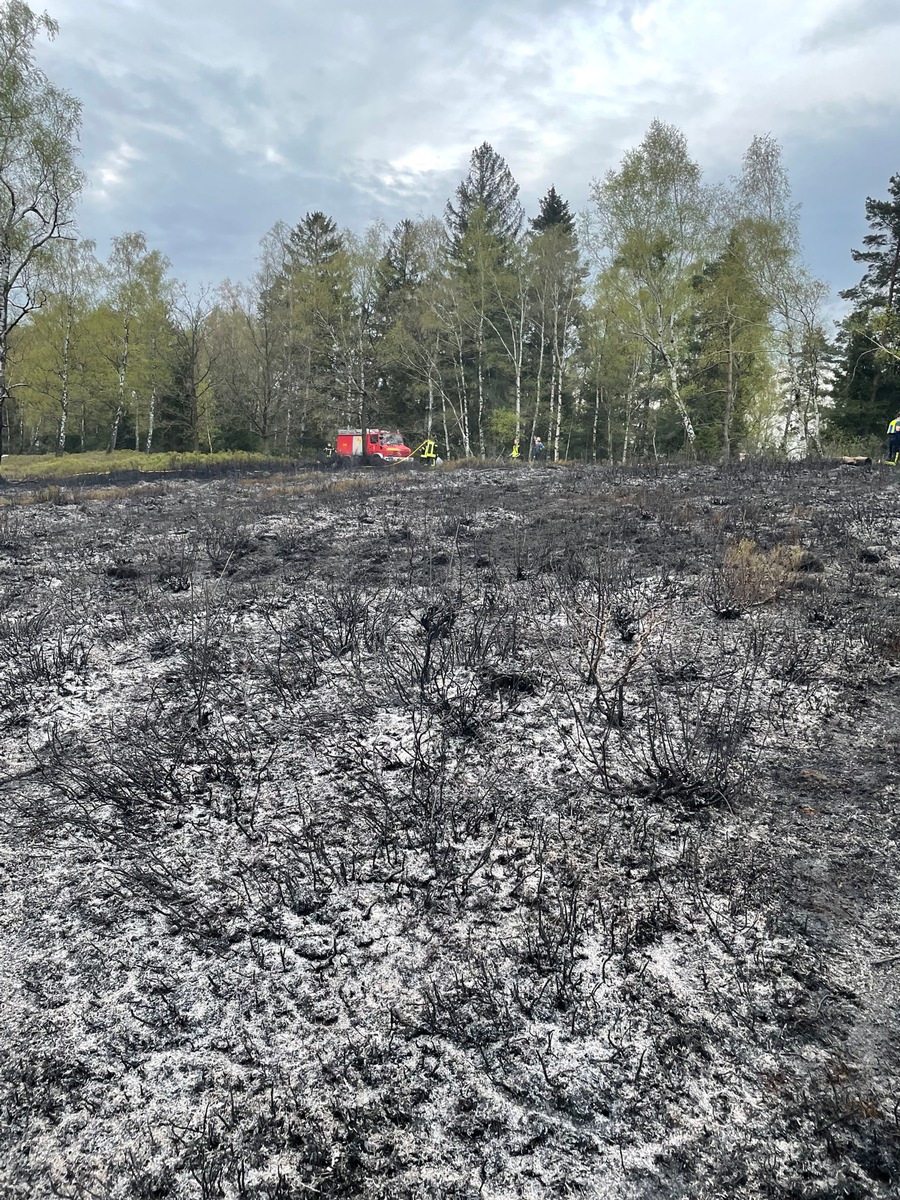 FW Horn-Bad Meinberg: Waldbrand zerstört 2 Hektar Wald- und Heidefläche - bis zu 150 Kräfte im Großeinsatz