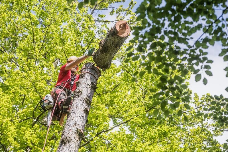 Netzwerk-Veranstaltung für Partner bei der FriedWald GmbH