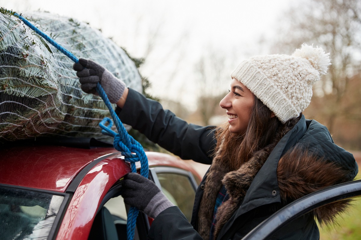 Weihnachtsbaum an Bord / So transportieren Autofahrer ihre Tanne sicher nach Hause (FOTO)