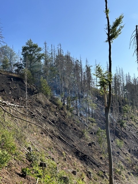 POL-GÖ: (313/2023) Großbrand am Ravensberg - Etwa 20.000 Quadratmeter Wald vernichtet, Brandursache weiterhin unklar, Polizei Bad Lauterberg ermittelt