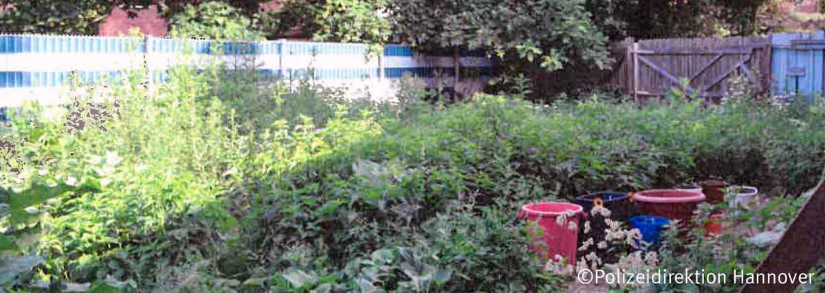 POL-H: Polizei enttarnt Outdoorplantage