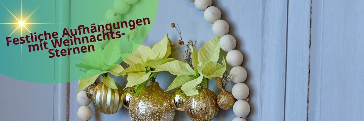 Festliche Aufhängungen mit Weihnachtssternen: DIY-Ideen für Sternenzauber in luftigen Höhen