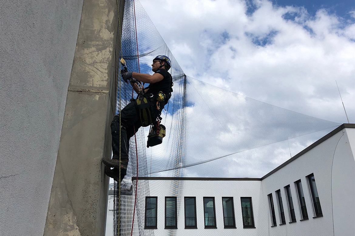 Industrie Kletterer Köln: Vergrämung von Stadttauben mit tierfreundlichen Mitteln