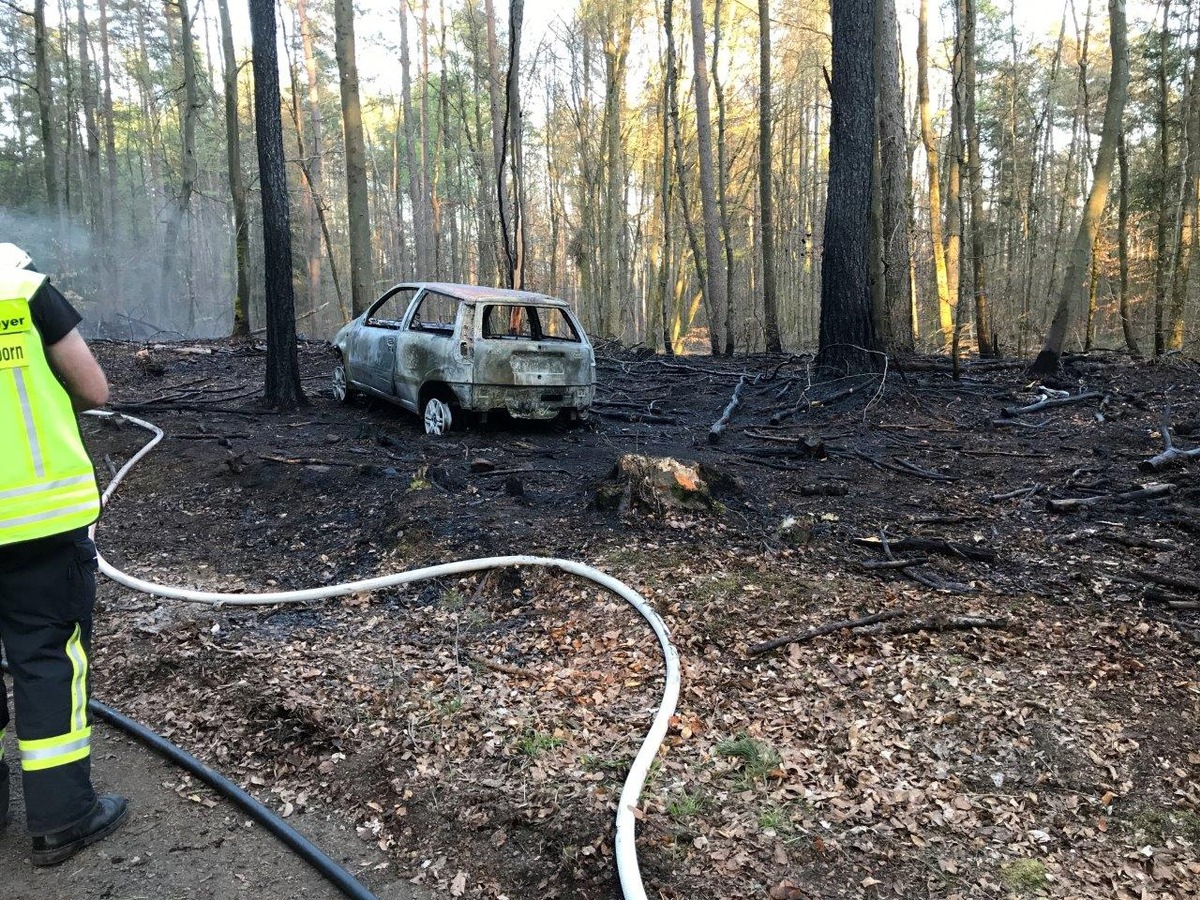 POL-PPWP: Fahrzeugbrand