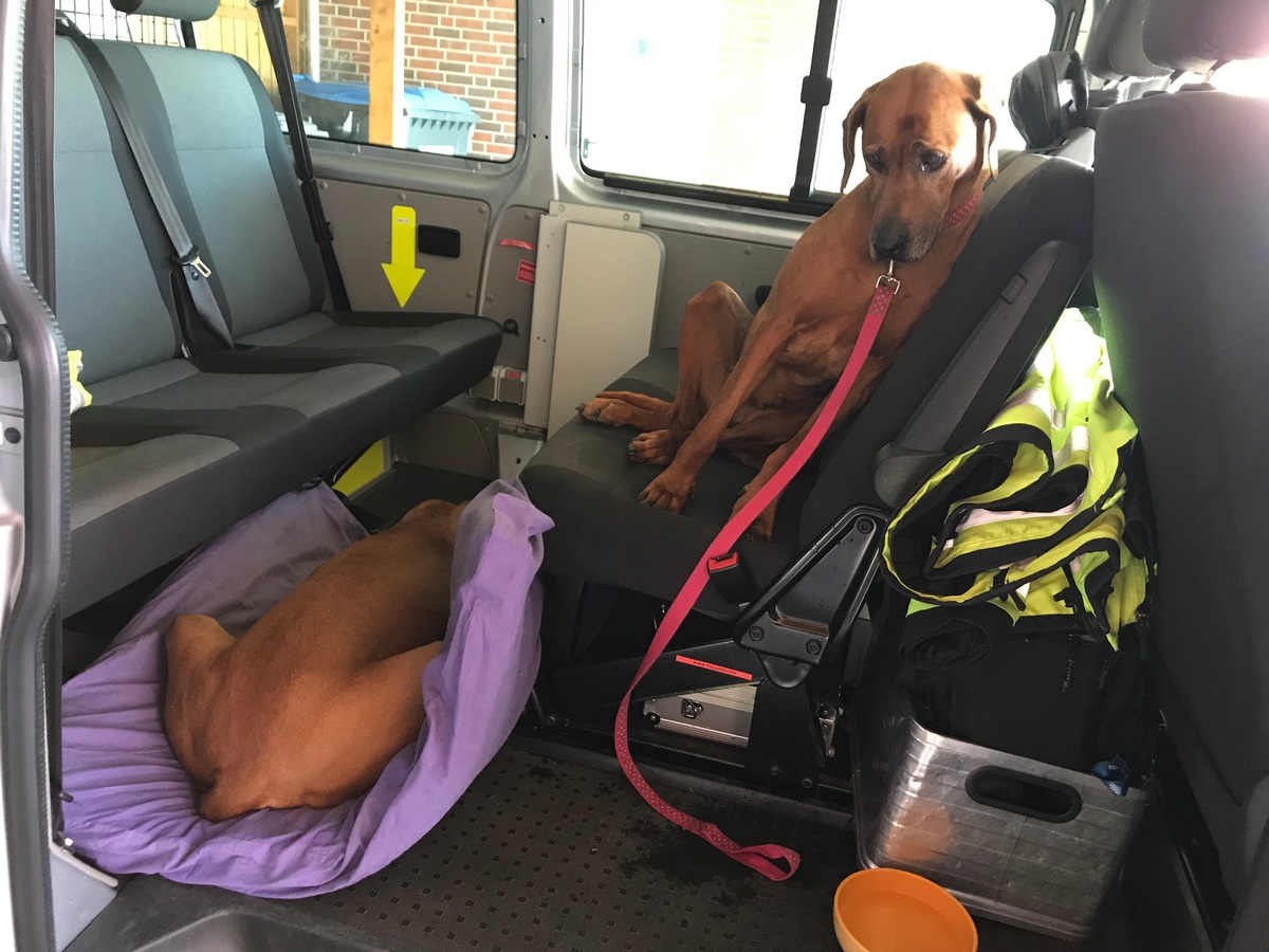 POL-ROW: ++ Nach Unfall auf der A1 - Hundedamen Daisy und Rosa zu Besuch bei der Autobahnpolizei ++