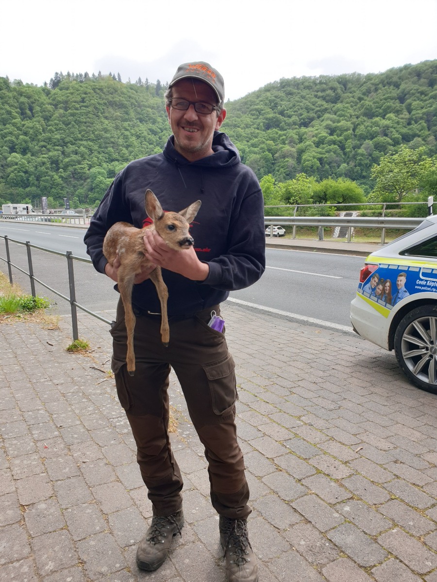 POL-PDMT: Rettung von hilflosem Rehkitz am Loreleyfelsen