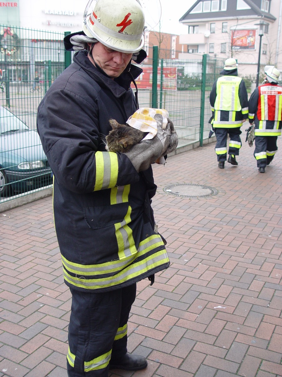 FW-E: PKW-Brand durch eine Katze