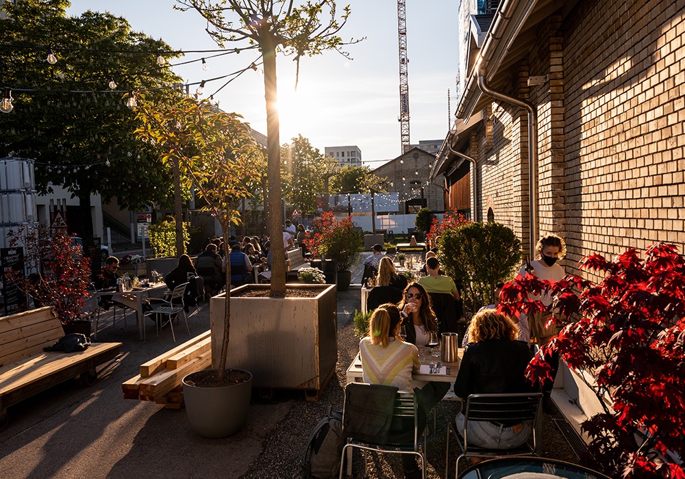 Stadtoase mit gefrorenem Rosé