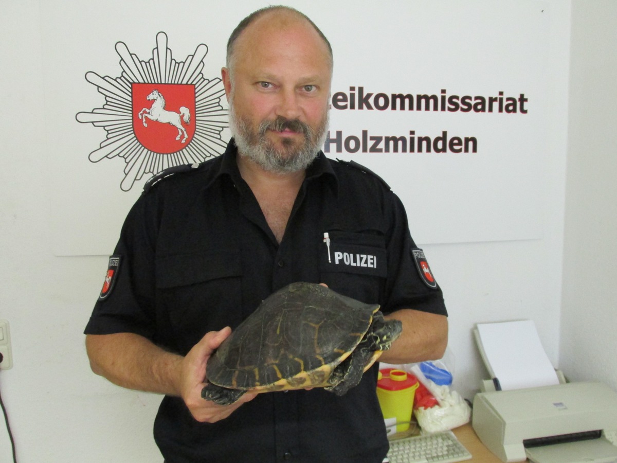 POL-HOL: Holzminden - Burgbergblick: Wer vermisst seine Schildkröte?  - Sonntagabend im Bereich Burgbergblick unterwegs -