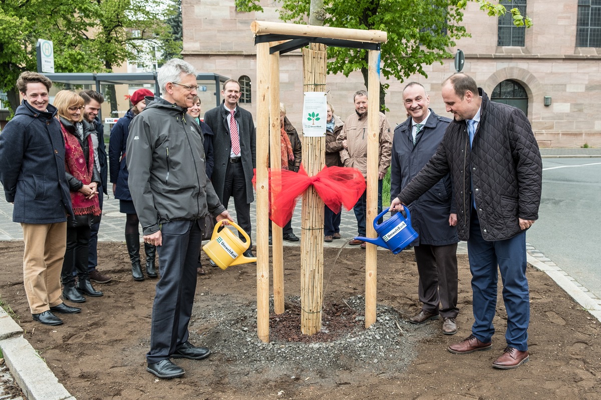 UmweltBank spendet zehn Straßenbäume