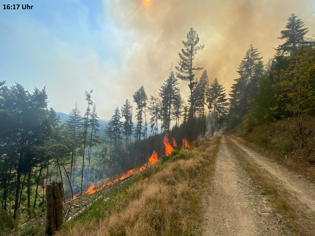 FW-MK: Waldbrand am Hegenscheid