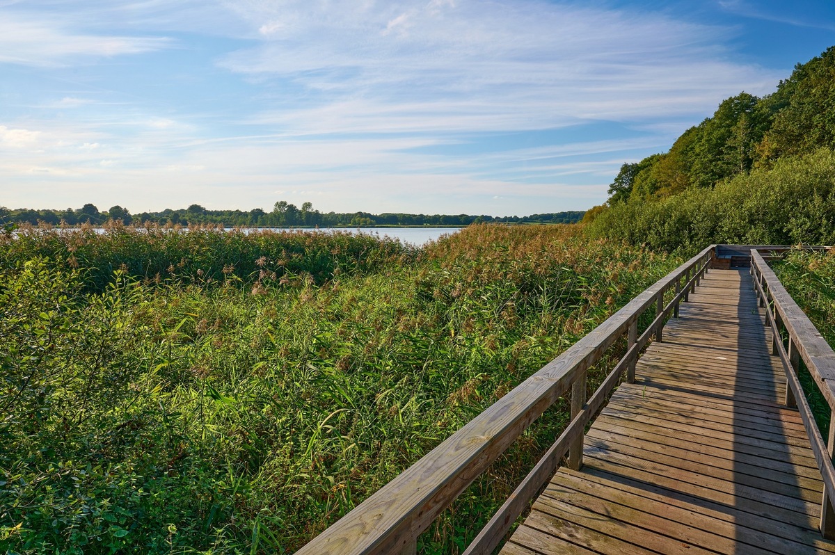 Beliebte Rundwanderwege in Schleswig-Holstein