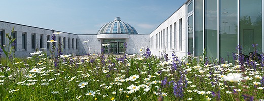 Gütesiegel für beruflichen Wiedereinstieg