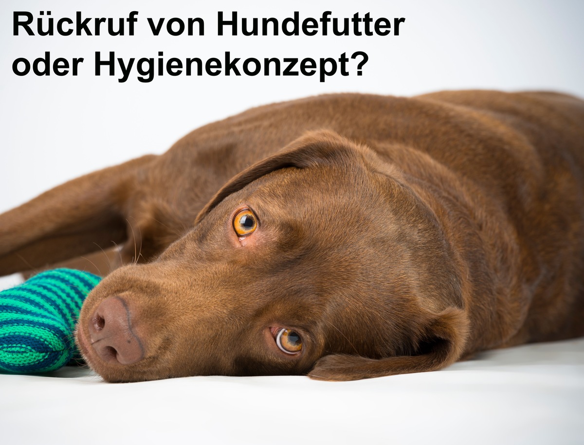 Rückruf von Hundefutter vermeiden durch Hygienekonzept