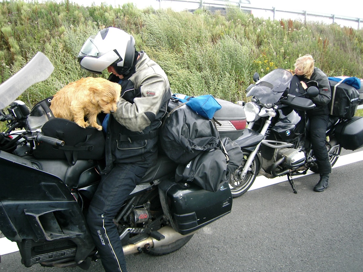 POL-GOE: (474/2011) Hunde auf dem Motorrad