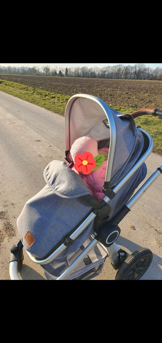 POL-HOL: Kinderwagen entwendet