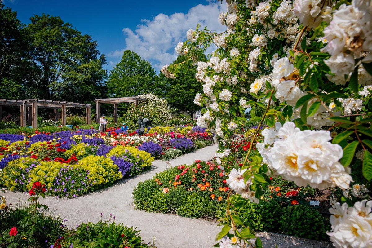 Der Frühsommer im egapark lässt keine Wünsche offen