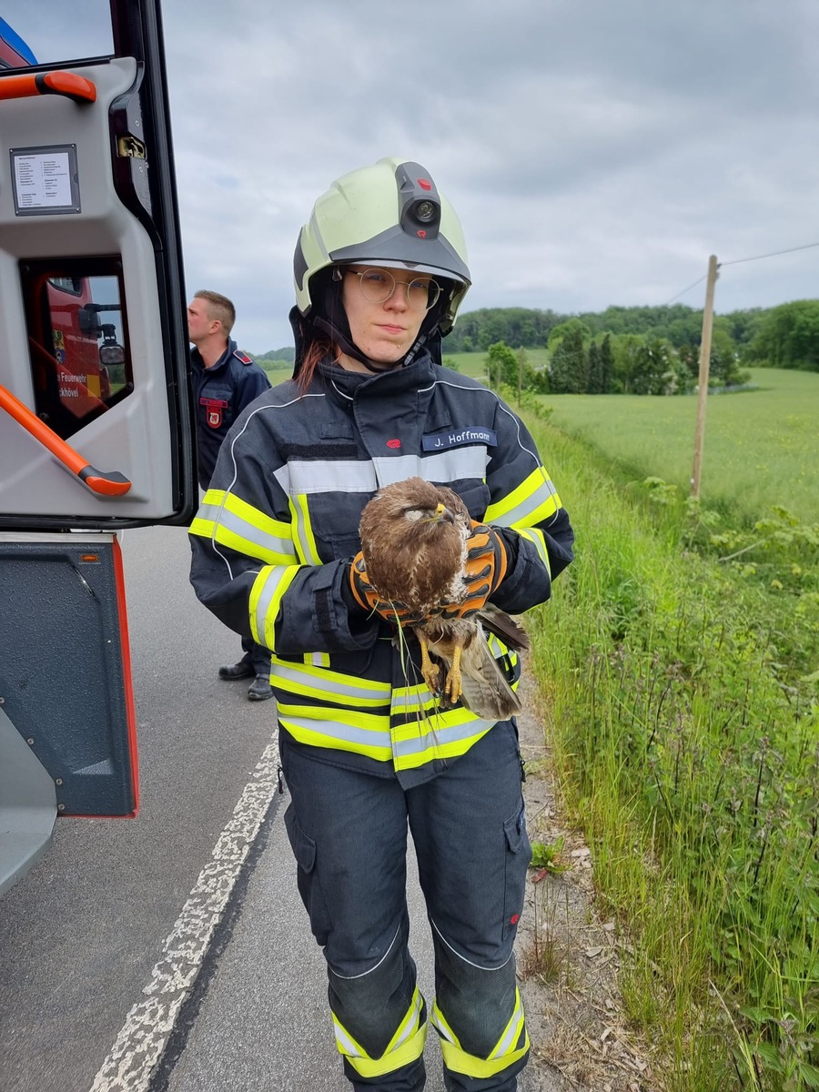 FW-EN: Feuerwehr fängt Bussard ein