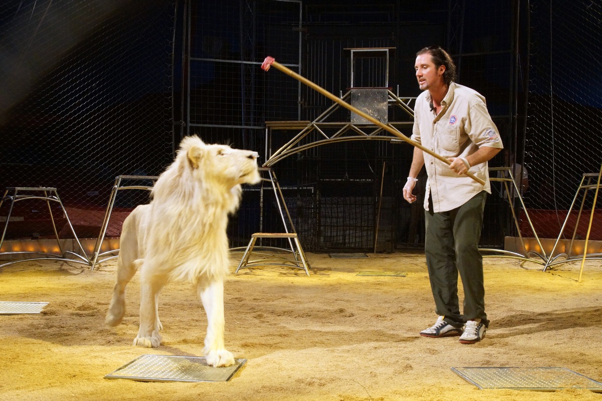 Aktionsbündnis &quot;Tiere gehören zum Circus&quot; empfiehlt Tier-Dokumentation auf ARTE (FOTO)