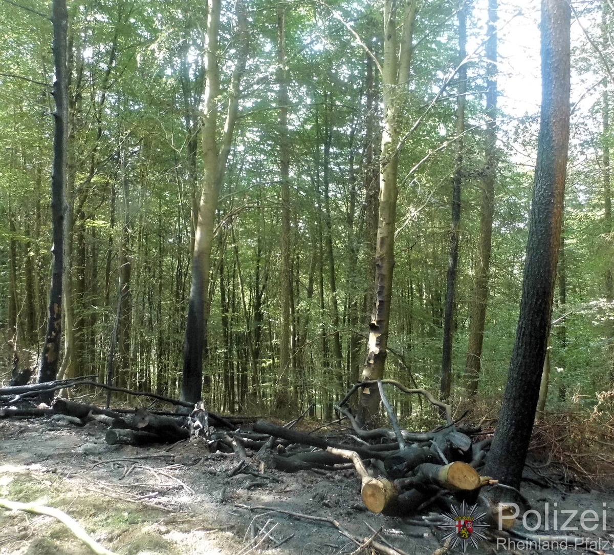 POL-PPWP: Brand im Wald - Zeugen gesucht!