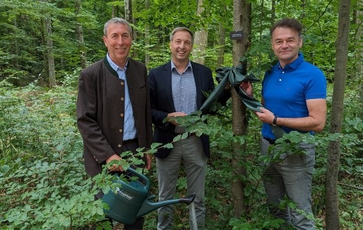 Blaubeuren bekommt einen FriedWald