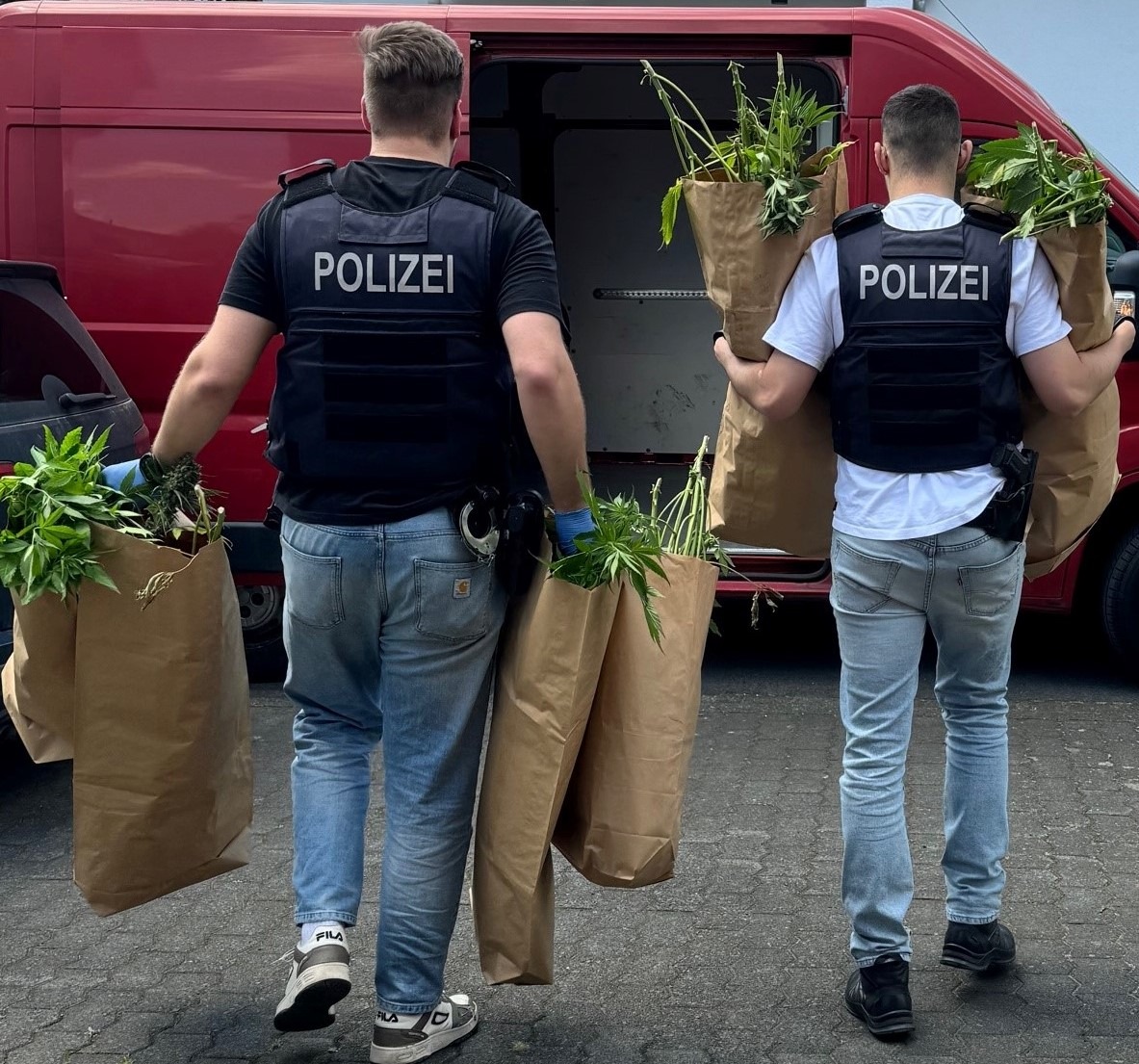 POL-REK: 240709-3: Cannabispflanzen und Pilze sichergestellt