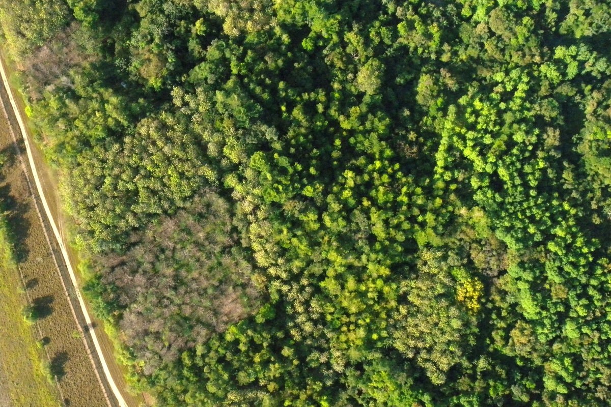 ForestFinance auf der &quot;Woche der Umwelt 2020&quot; in Berlin