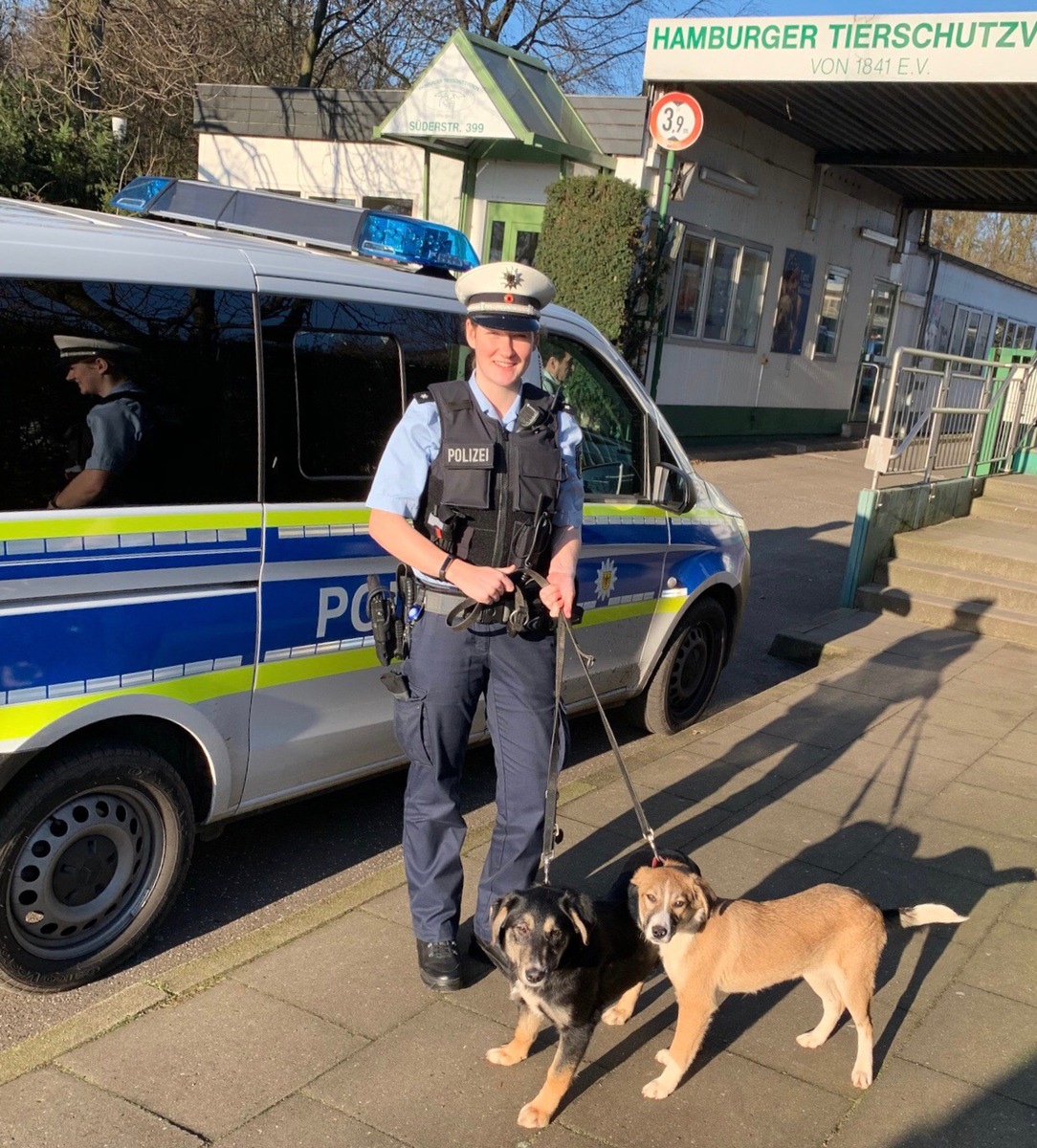 BPOL-HH: Fellnasen im Betriebsbahnhof - zwei junge Hunde auf Abwegen