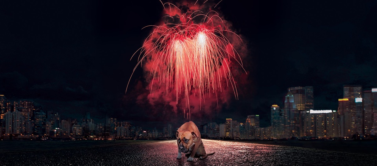 Fêter Nouvel An sans pétards