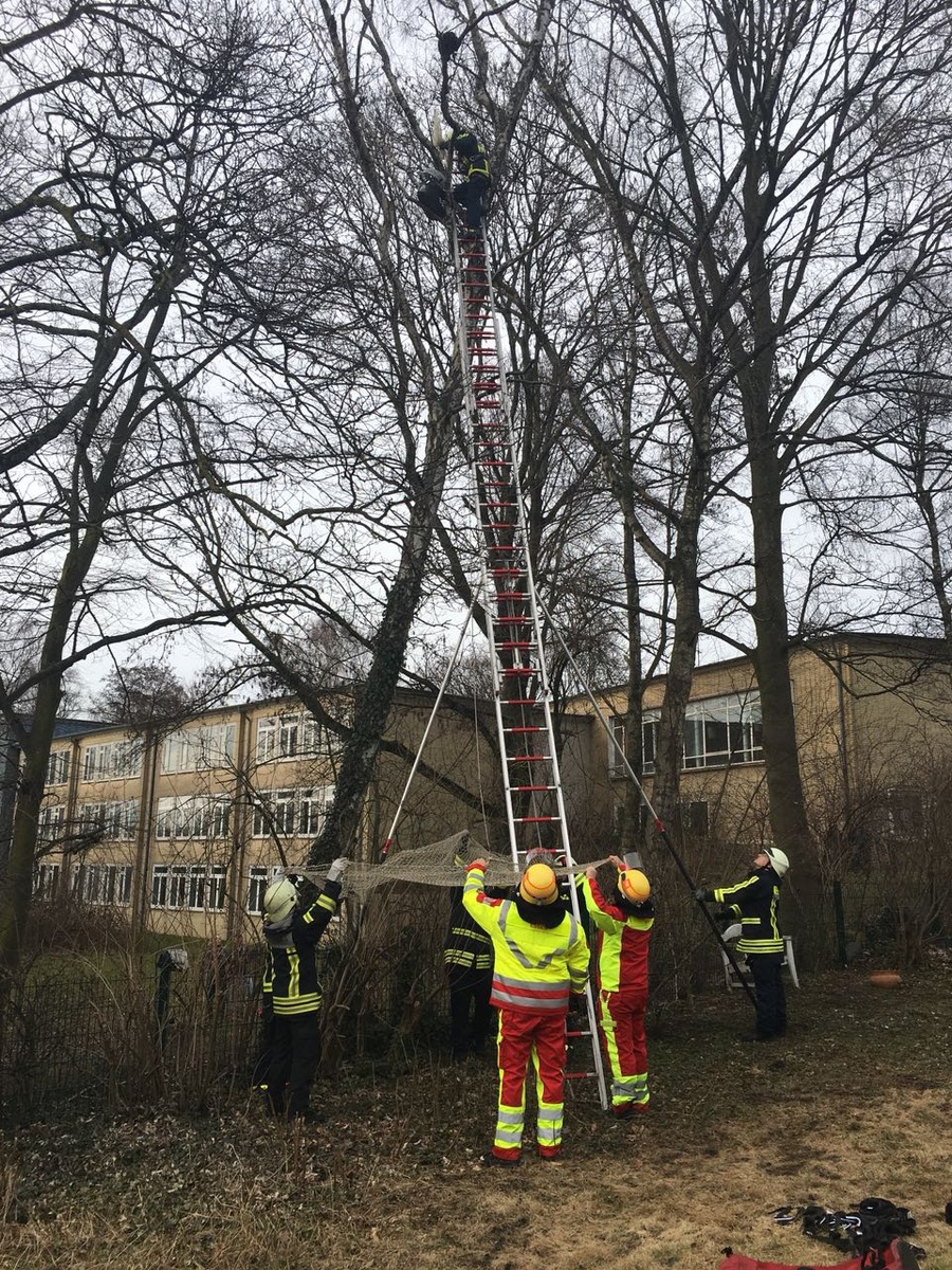 FW-BO: Feuerwehr rettet Katze von einem Baum