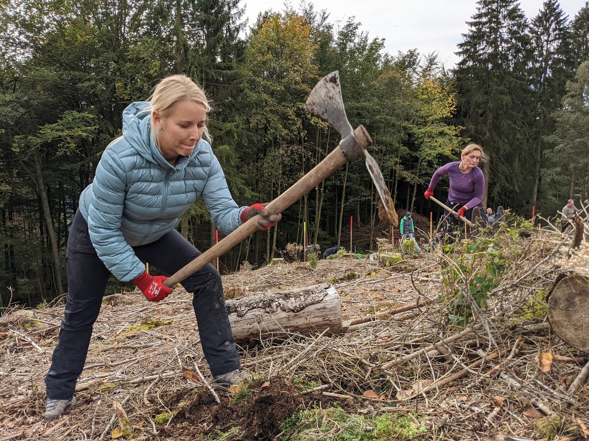 TARGOBANK unterstützt Bergwaldprojekt e.V.