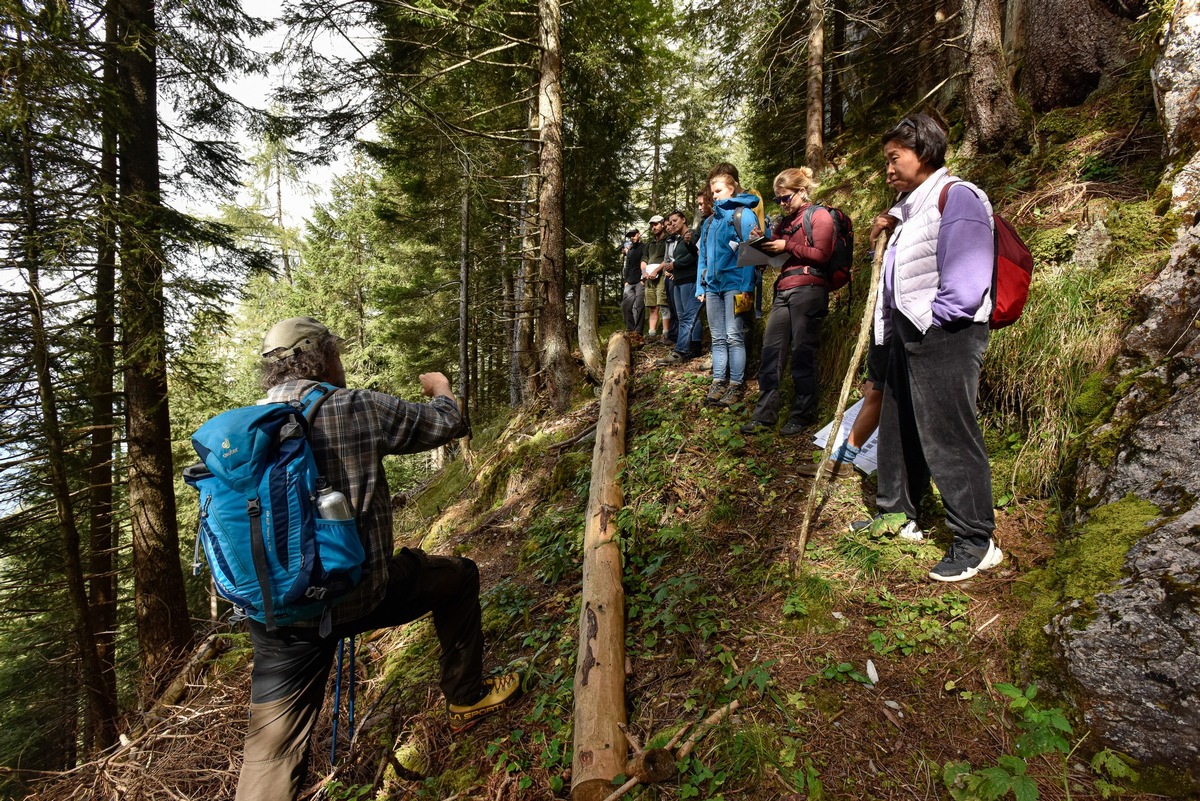 Communiqué de presse: 20 ans de connaissances sur la forêt