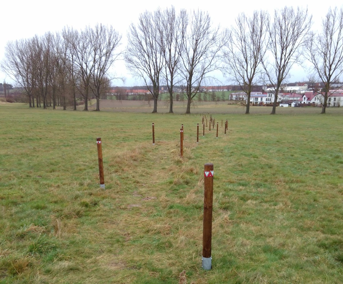 DBU Naturerbe und Kreis Wolfenbüttel reagieren auf Anregungen zur Wegeführung in den Herzogsbergen