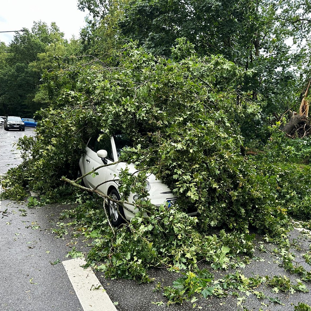 FW Norderstedt: Baum trifft PKW - Unwetter zieht auch an Norderstedt nicht spurlos vorbei