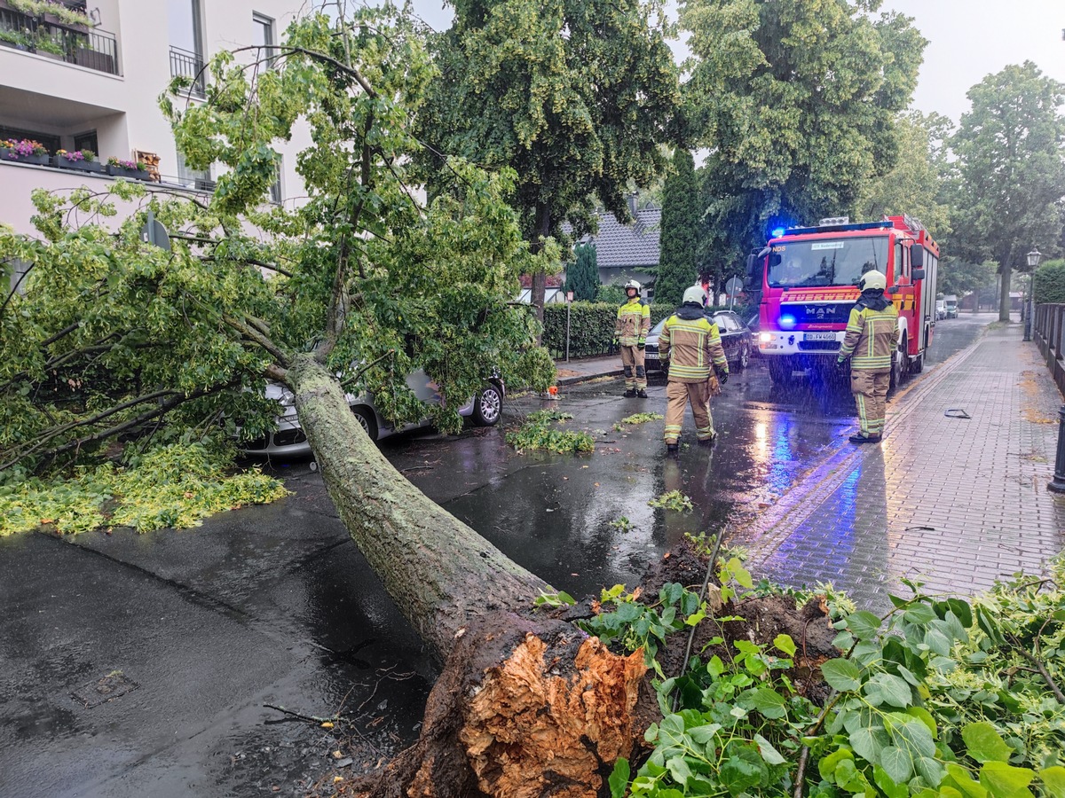 FW Dresden: Mehrere sturmbedingte Einsätze im Stadtgebiet