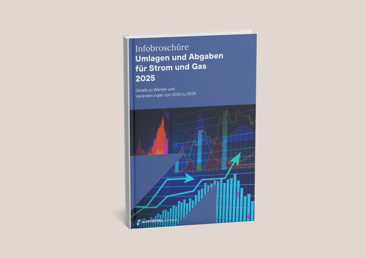 Umlagen und Abgaben für Strom und Gas im Jahr 2025 - Plattformen übernehmen automatisch die Aktualisierung der Daten